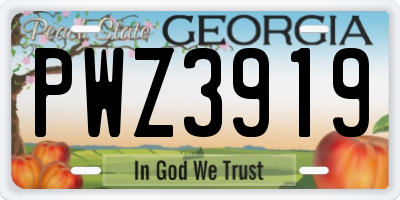 GA license plate PWZ3919