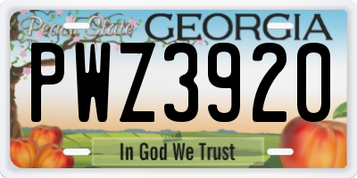 GA license plate PWZ3920