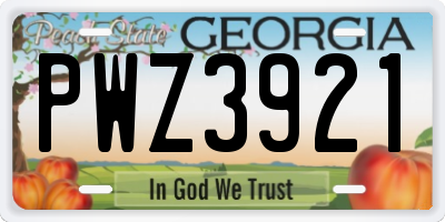 GA license plate PWZ3921