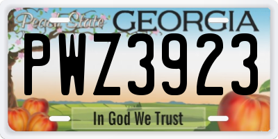 GA license plate PWZ3923