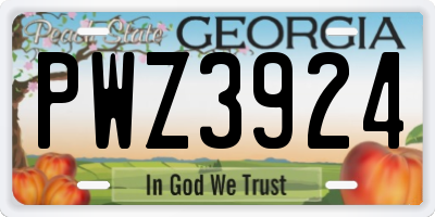 GA license plate PWZ3924