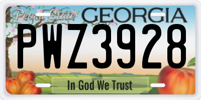GA license plate PWZ3928