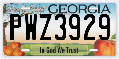 GA license plate PWZ3929
