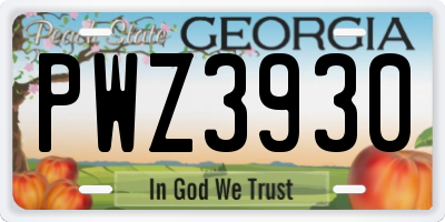 GA license plate PWZ3930