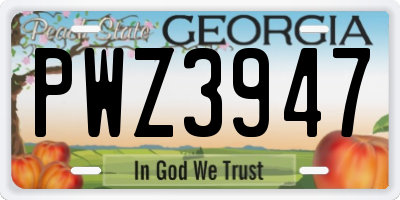 GA license plate PWZ3947
