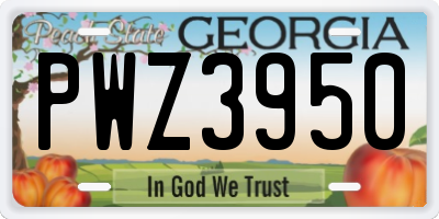 GA license plate PWZ3950