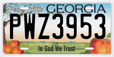 GA license plate PWZ3953