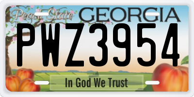 GA license plate PWZ3954