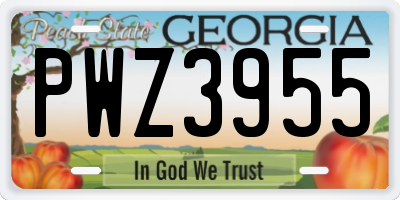 GA license plate PWZ3955
