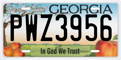 GA license plate PWZ3956