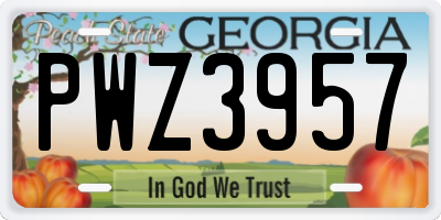 GA license plate PWZ3957