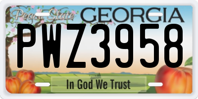 GA license plate PWZ3958