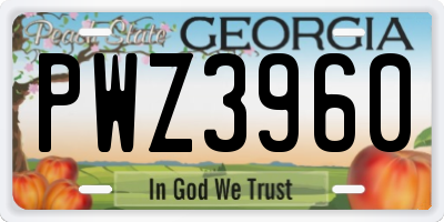 GA license plate PWZ3960