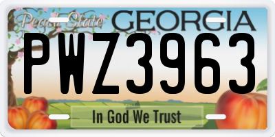 GA license plate PWZ3963