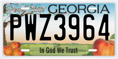 GA license plate PWZ3964