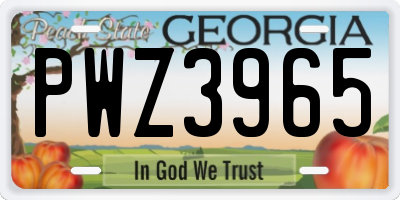 GA license plate PWZ3965