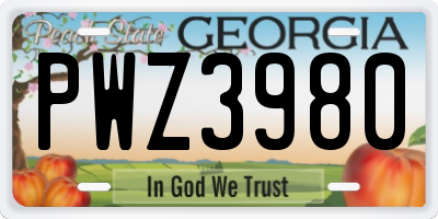 GA license plate PWZ3980