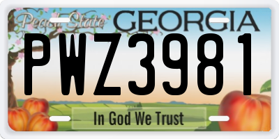 GA license plate PWZ3981