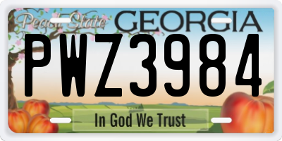GA license plate PWZ3984