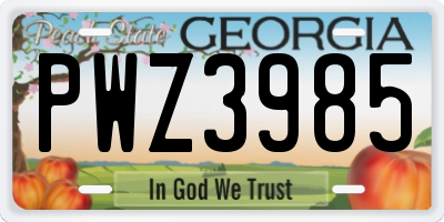 GA license plate PWZ3985