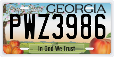 GA license plate PWZ3986