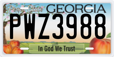 GA license plate PWZ3988