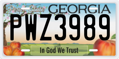 GA license plate PWZ3989