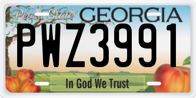 GA license plate PWZ3991