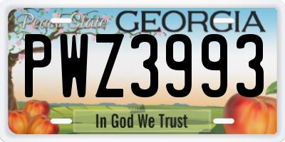 GA license plate PWZ3993