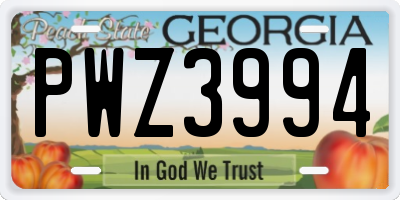 GA license plate PWZ3994