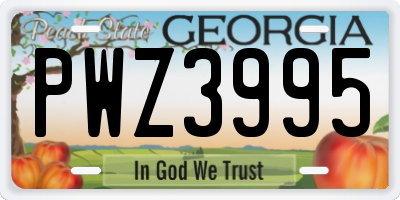 GA license plate PWZ3995