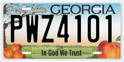 GA license plate PWZ4101
