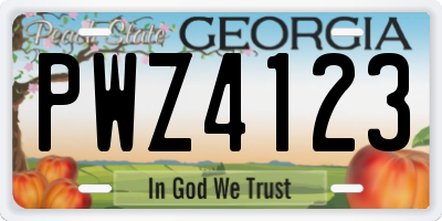 GA license plate PWZ4123