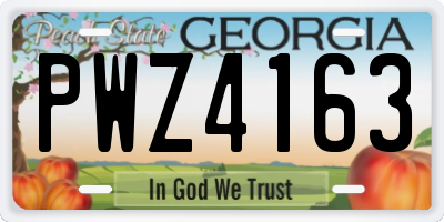 GA license plate PWZ4163