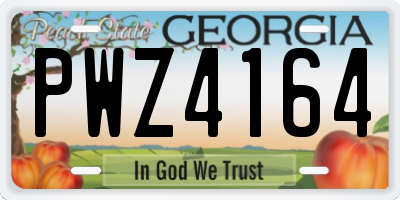 GA license plate PWZ4164