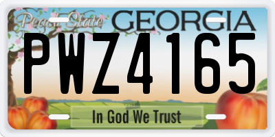 GA license plate PWZ4165