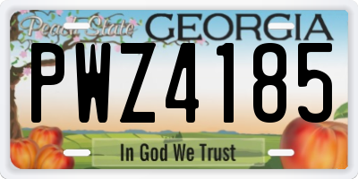 GA license plate PWZ4185