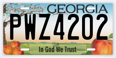 GA license plate PWZ4202