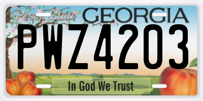 GA license plate PWZ4203