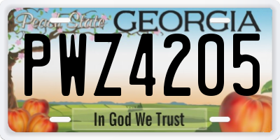 GA license plate PWZ4205