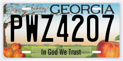 GA license plate PWZ4207