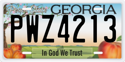 GA license plate PWZ4213