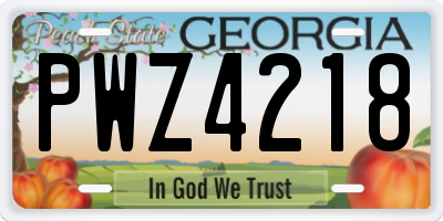 GA license plate PWZ4218