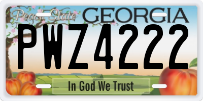 GA license plate PWZ4222