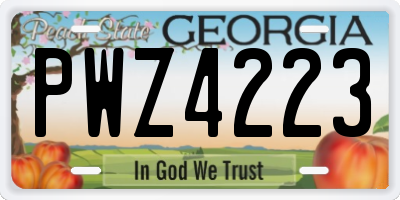 GA license plate PWZ4223