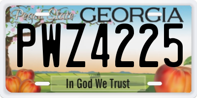 GA license plate PWZ4225