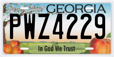 GA license plate PWZ4229