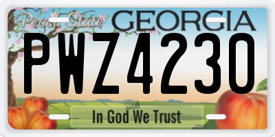 GA license plate PWZ4230