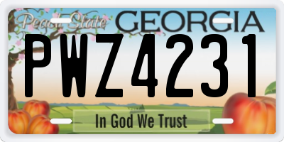 GA license plate PWZ4231