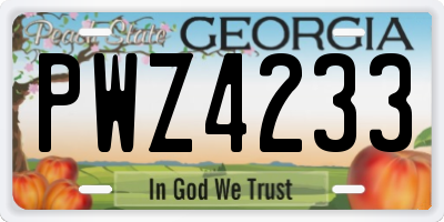 GA license plate PWZ4233